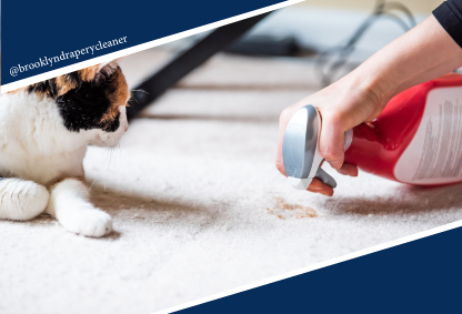 carpet cleaning in brooklyn, carpet cleaning in new york, carpet cleaning brooklyn, carpet cleaners in brooklyn, carpet cleaners in new york, commercial carpet cleaning, commercial carpet cleaning in brooklyn, brooklyn rug cleaners, rug cleaning services in brooklyn, same day carpet cleaning, same day rug cleaning